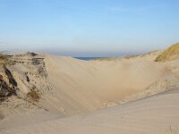 NL, Noord-Holland, Texel, Paal 16 13, Saxifraga-Foto Fitis-Sytske Dijksen