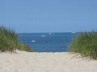 NL, Noord-Holland, Texel, Paal 23 1, Saxifraga-Foto Fitis-Sytske Dijksen