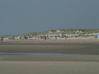 NL, Noord-Holland, Texel, Paal 28 4, Saxifraga-Willem van Kruijsbergen