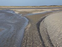 NL, Noord-Holland, Texel, Paal 5, De Hors 168, Saxifraga-Foto Fitis-Sytske Dijksen
