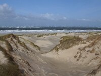 NL, Noord-Holland, Texel, Paal 8 23 Saxifraga-Foto Fitis-Sytske Dijksen