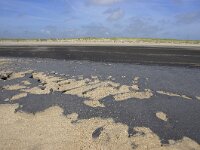 NL, Noord-Holland, Texel, Paal 8 47, Saxifraga-Foto Fitis-Sytske Dijksen