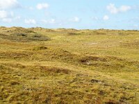 NL, Noord-Holland, Texel, Paal 9 10, Foto Fitis-Sytske Dijksen