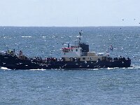 NL, Noord-Holland, Texel, Paal 9 26, Saxifraga-Foto Fitis-Sytske Dijksen