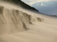 NL, Noord-Holland, Texel, Paal 9 60, Saxifraga-Foto Fitis-Sytske Dijksen