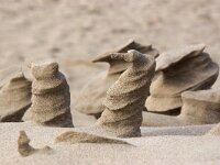 NL, Noord-Holland, Texel, Paal 9 70, Saxifraga-Foto Fitis-Sytske Dijksen