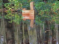 NL, Noord-Holland, Texel, Paggas Paadje 2, Saxifraga-Foto Fitis-Sytske Dijksen