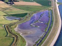 NL, Noord-Holland, Texel, Pink coloured by Dunaliella salina and Oxyrhis marina, Wagejot 15, Saxifraga-Foto Fitis-Sytske Dijksen