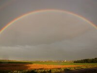 NL, Noord-Holland, Texel, Rainbow, Ruige Hoek 2, Saxifraga-Foto Fitis-Sytske Dijksen