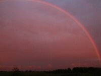 NL, Noord-Holland, Texel, Rainbow, Ruige Hoek 3, Saxifraga-Foto Fitis-Sytske Dijksen