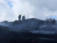 NL, Noord-Holland, Texel, Rommelpot 10, Saxifraga-Foto Fitis-Sytske Dijksen