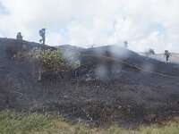 NL, Noord-Holland, Texel, Rommelpot 12, Saxifraga-Foto Fitis-Sytske Dijksen
