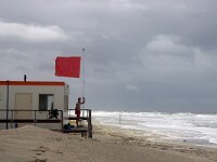 NL, Noord-Holland, Texel, Storm Poly, Paal 12 27, Saxifraga-Foto Fitis-Sytske Dijksen