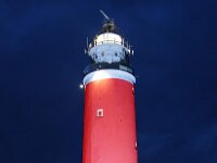 NL, Noord-Holland, Texel, Vuurtoren 25, Saxifraga-Foto Fitis-Sytske Dijksen