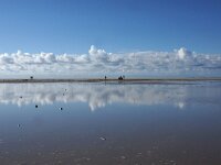 NL, Noord-Holland, Texel, Vuurtorenstrand 2, Saxifraga-Foto Fitis-Sytske Dijksen