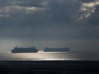 NL, Noord-Holland, Texel, Wagemaker Ferry 2, Saxifraga-Foto Fitis-Sytske Dijksen