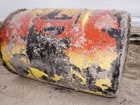 NL, Noord-Holland, Texel, paal 10 3, Saxifraga-Foto Fitis-Sytske Dijksen