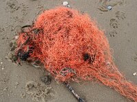 NL, Noord-Holland, Texel, paal 12 10, Saxifraga-Foto Fitis-Sytske Dijksen
