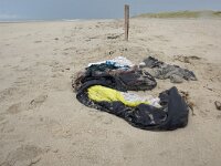 NL, Noord-Holland, Texel, paal 8 13, Saxifraga-Foto Fitis-Sytske Dijksen