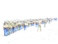 NL, Noord-Holland, Texel, paal 9 29, Saxifraga-Foto Fitis-Sytske Dijksen