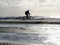 NL, Noord-Holland, Texel, paal 9 32, Saxifraga-Foto Fitis-Sytske Dijksen