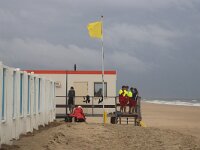 NL, Noord-Holland, Texel, paal 9 34, Saxifraga-Foto Fitis-Sytske Dijksen