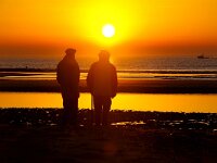 NL, Noord-Holland, Texel, paal 9 35, Saxifraga-Foto Fitis-Sytske Dijksen