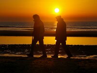 NL, Noord-Holland, Texel, paal 9 36, Saxifraga-Foto Fitis-Sytske Dijksen