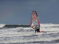 NL, Noord-Holland, Texel, paal 9 37, Saxifraga-Foto Fitis-Sytske Dijksen