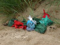NL, Noord-Holland, Texel, paal 9 44, Saxifraga-Foto Fitis-Sytske Dijksen