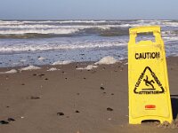 NL, Noord-Holland, Texel, paal 9 48, Saxifraga-Foto Fitis-Sytske Dijksen