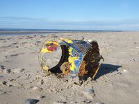 NL, Noord-Holland, Texel, paal 9 50, Saxifraga-Foto Fitis-Sytske Dijksen