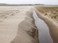 NL, Noord-Holland, Texel, sand drift, Watermolenweg 3, Saxifraga-Foto Fitis-Sytske Dijksen