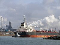 NL, Noord-Holland, Velsen, IJmuiden 3, Saxifraga-Foto Fitis-Sytske Dijksen