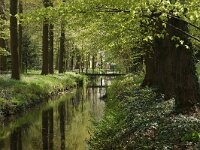 NL, Noord-Holland, Wijdemeren, Sijpestijn 3, Saxifraga-Foto Fitis-Sytske Dijksen