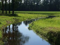 NL, Overijssel, Hof van Twente, Regge bij Kolhoop 1, Saxifraga-Foto Fitis-Sytske Dijksen