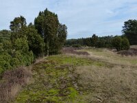 NL, Overijssel, Ommen, Beerze 11, Saxifraga-Mark Zekhuis