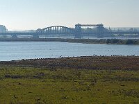 NL, Overijssel, Zwolle, IJsselbridge 1, Saxifraga-Ab H Baas