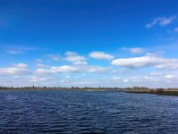 NL, Overijssel, Zwolle, Vreugderijkerwaard 1, Saxifraga-Bart Vastenhouw