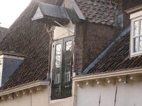 NL, Utrecht, Amersfoort 2, Saxifraga-Foto Fitis-Sytske Dijksen