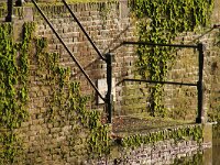 NL, Utrecht, Amersfoort 3, Saxifraga-Foto Fitis-Sytske Dijksen