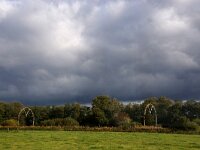 NL, Utrecht, De Bilt, Hollandsche Rading 6, Saxifraga-Foto Fitis-Sytske Dijksen