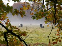 NL, Utrecht, De Bilt, Houdringe 1, Foto Fitis-Sytske Dijksen