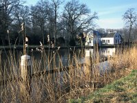 NL, Utrecht, Stichtse Vecht, Loenen 2, Saxifraga-Hans Dekker
