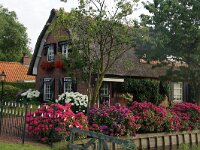 NL, Utrecht, Stichtse Vecht, Tienhovens Kanaal 3, Saxifraga-Foto Fitis-Sytske Dijksen