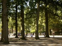 NL, Utrecht, Utrechtse Heuvelrug, Amerongen 6, Saxifraga-Foto Fitis-Sytske Dijksen