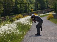 NL, Utrecht, Zeist, Den Dolder 3, Saxifraga-Foto Fitis-Sytske Dijksen