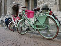 NL, Zeeland, Middelburg 7, Saxifraga-Tom Heijnen