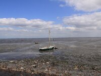 NL, Zeeland, Reimerswaal, Roelshoek 1, Saxifraga-Peter Meininger