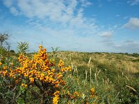 NL, Zeeland, Schouwen-Duiveland 4, Foto Fitis-Sytske Dijksen
